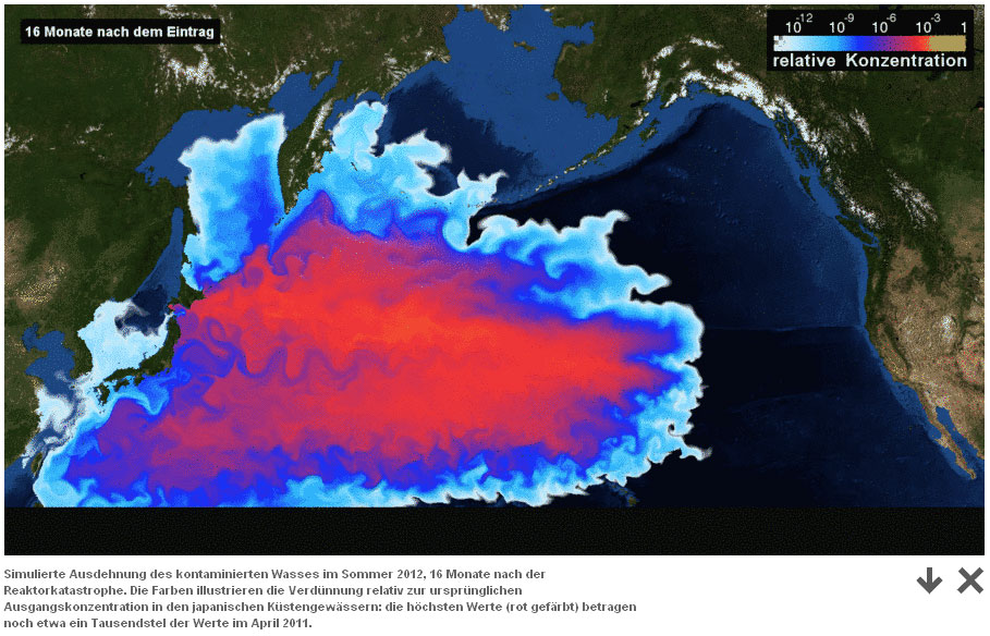震災後16ヶ月における福島原発由来の放射性物質海洋汚染シミュレーション(GEOMAR Kielより)